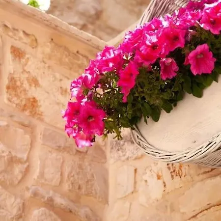 Σπίτι διακοπών Il Grottino Casamassima